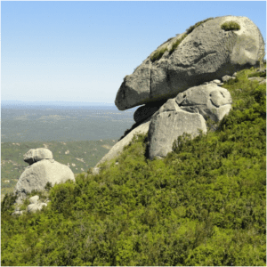 Pico do Jabre
