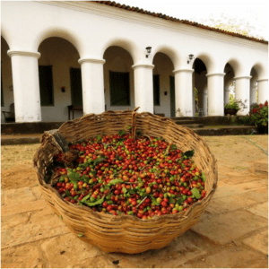 Rota do Café – Guaramiranga e Baturité