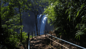 Forbes aponta o Brasil como o melhor do mundo para o ecoturismo. Foto: reprodução/blog turistando&criativando-divulgação